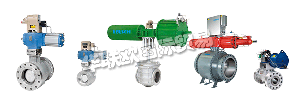 通過LEUSCH的生產計劃，客戶隨時了解其閥門的制造和測試過程。