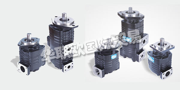 印度VELJAN主要產品：VELJAN齒輪泵、液壓閥等。VELJAN HYDRAIR LIMITED成立于1965年，是印度FLUID POWER公司的先驅，也是其獨立的領導者。