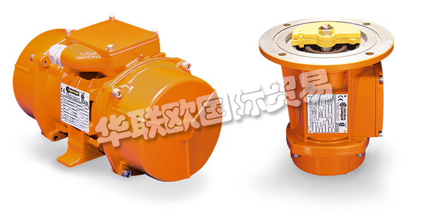 ITALVIBRAS是一家意大利公司,在電動(dòng)振動(dòng)器領(lǐng)域擁有十多年的經(jīng)驗(yàn)。對(duì)質(zhì)量的不斷追求,多年來(lái)活動(dòng)中積累的豐富經(jīng)驗(yàn)使ITALVIBRA成為全球電動(dòng)振動(dòng)器領(lǐng)域的旗幟。ITALVIBRA于2000年獲得UNI EN ISO 9001認(rèn)證,并通過(guò)CESI 00 ATEX 061 Q認(rèn)證了生產(chǎn)質(zhì)量。ITALVIBRAS重視創(chuàng)新,ITALVIBRAS公司在尖端技術(shù)上的大量投資大大改變了ITALVIBRAS的生產(chǎn)過(guò)程,從產(chǎn)品的定性角度和控制生產(chǎn)成本方面都取得了重要的成果。下文為您介紹ITALVIBRAS振動(dòng)器。