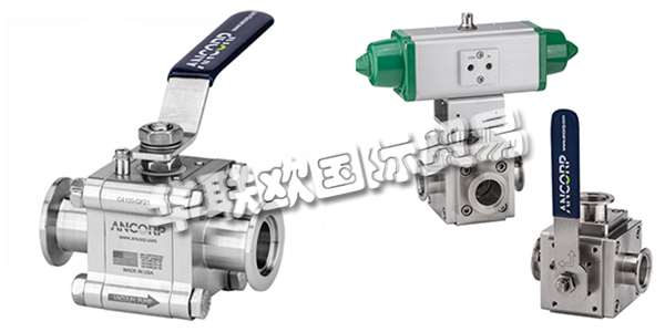 美國ANCORP公司主要供應(yīng)：美國ANCORP閥門,ANCORP過濾器，真空閥，疏水閥，真空球閥，二通球閥，三通球閥，高電導(dǎo)球閥，顆粒分離器，螺栓，螺母，固定環(huán)，夾具等產(chǎn)品。