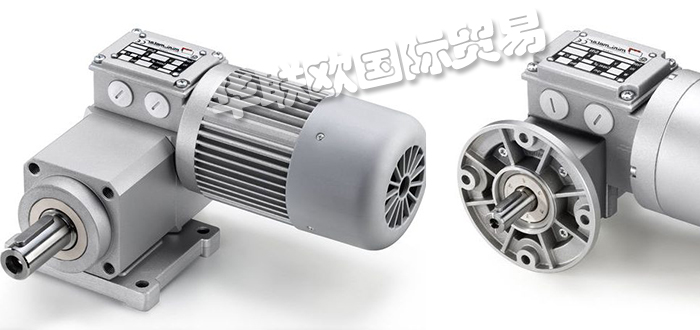 意大利MINIMOTOR齒輪減速機系列產品特點及型號介紹