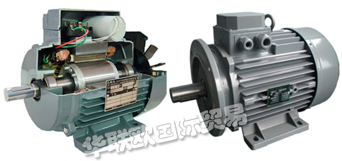 特價銷售意大利E.M.G. ELETTROMECCANICA電動馬達