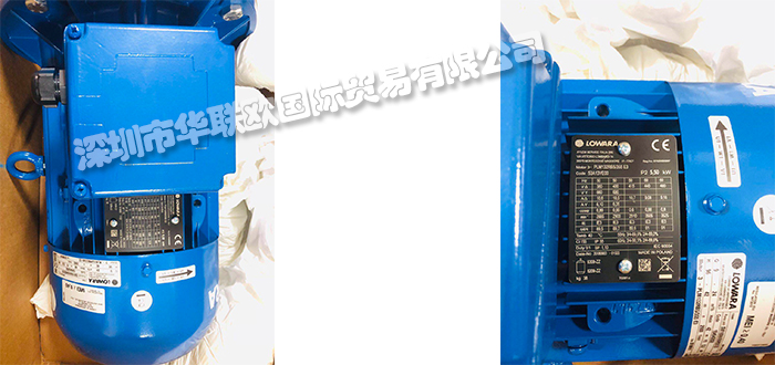 意大利LOWARA立式多級泵e-SV產品詳情